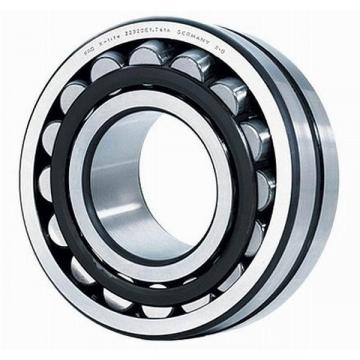  1202ETN9, 1202 ETN9, Double Row Self-Aligning Bearing